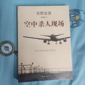 空中杀人现场
