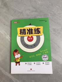精准练 数学九年级（全一册）