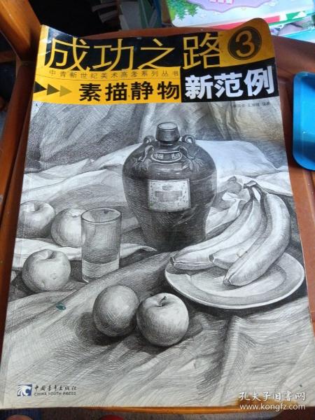 成功之路：素描静物新范例3