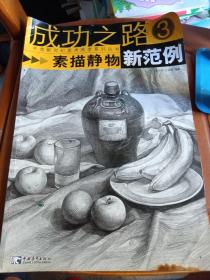 成功之路：素描静物新范例3