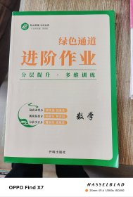 绿色通道进阶作业数学