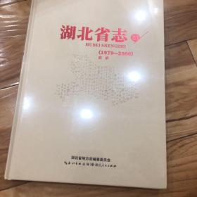 湖北省志（1979-2000）政府