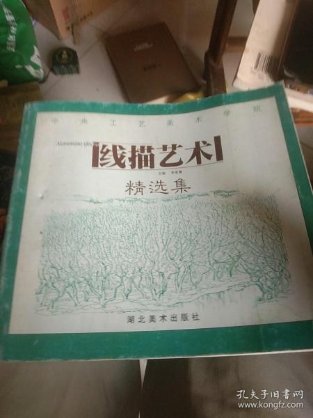 中央工艺美术学院线描艺术精选集