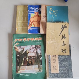 少林武术：炮捶 大红拳 +穴位点打拳术 +太极拳运动 +十路谭腿+少林寺拳棒阐宗+福建少林拳 +少林气功 七本合售