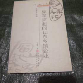 山东当代文化丛书 改革开放编 异军突起的山东乡镇企业 FH=5057