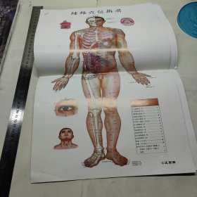 足部疗法示意图和经络穴位掛图9张 有字迹