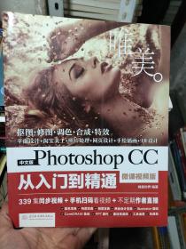 中文版Photoshop CC从入门到精通（微课视频版）