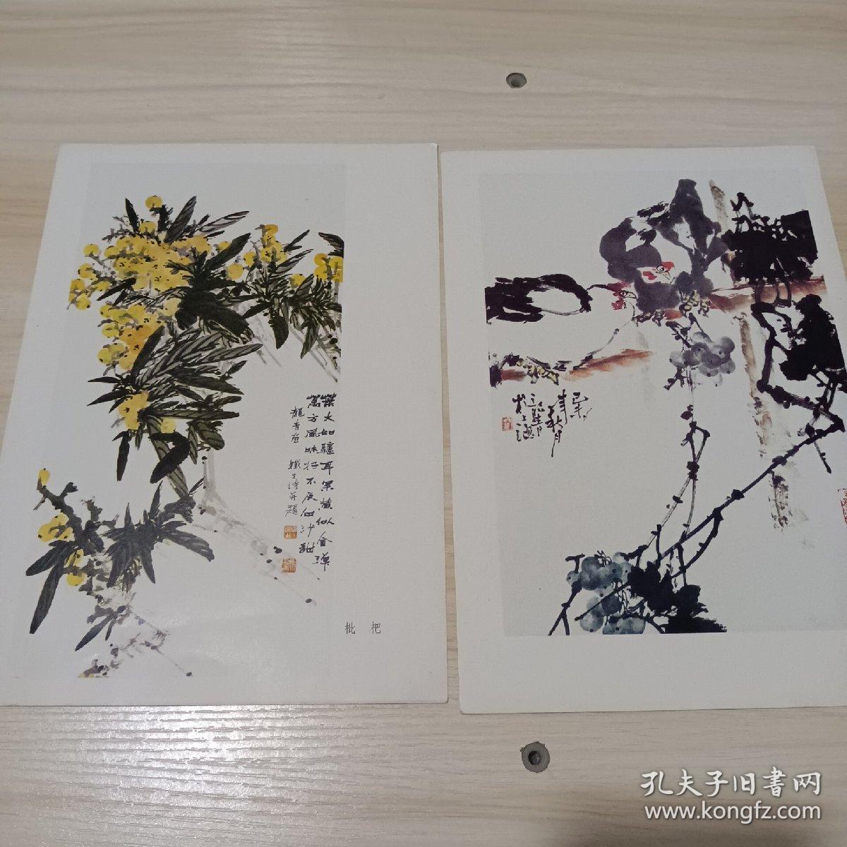 16开老国画5张（印刷品）：马龙青花鸟画