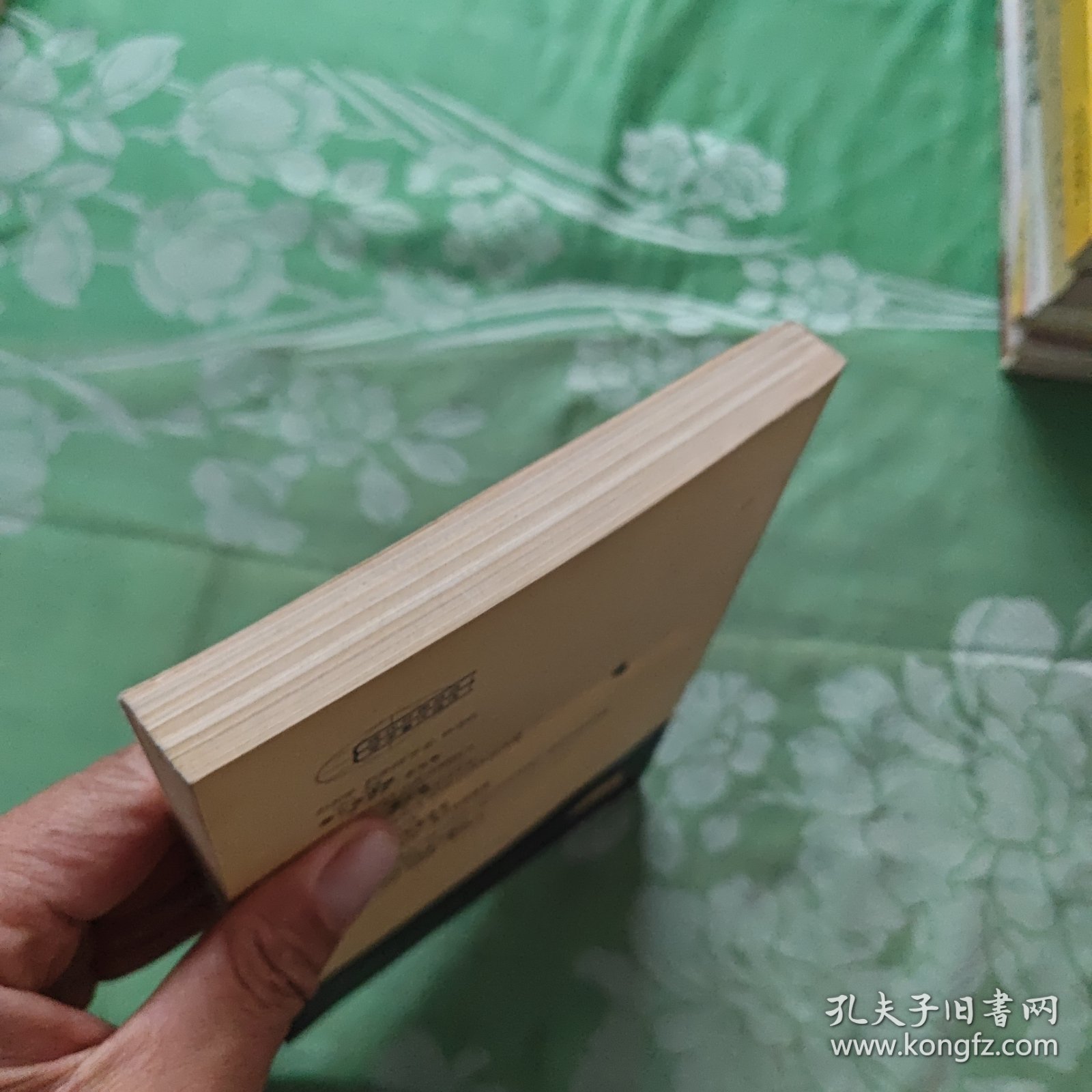 抉择:对现实存在的社会主义的批判