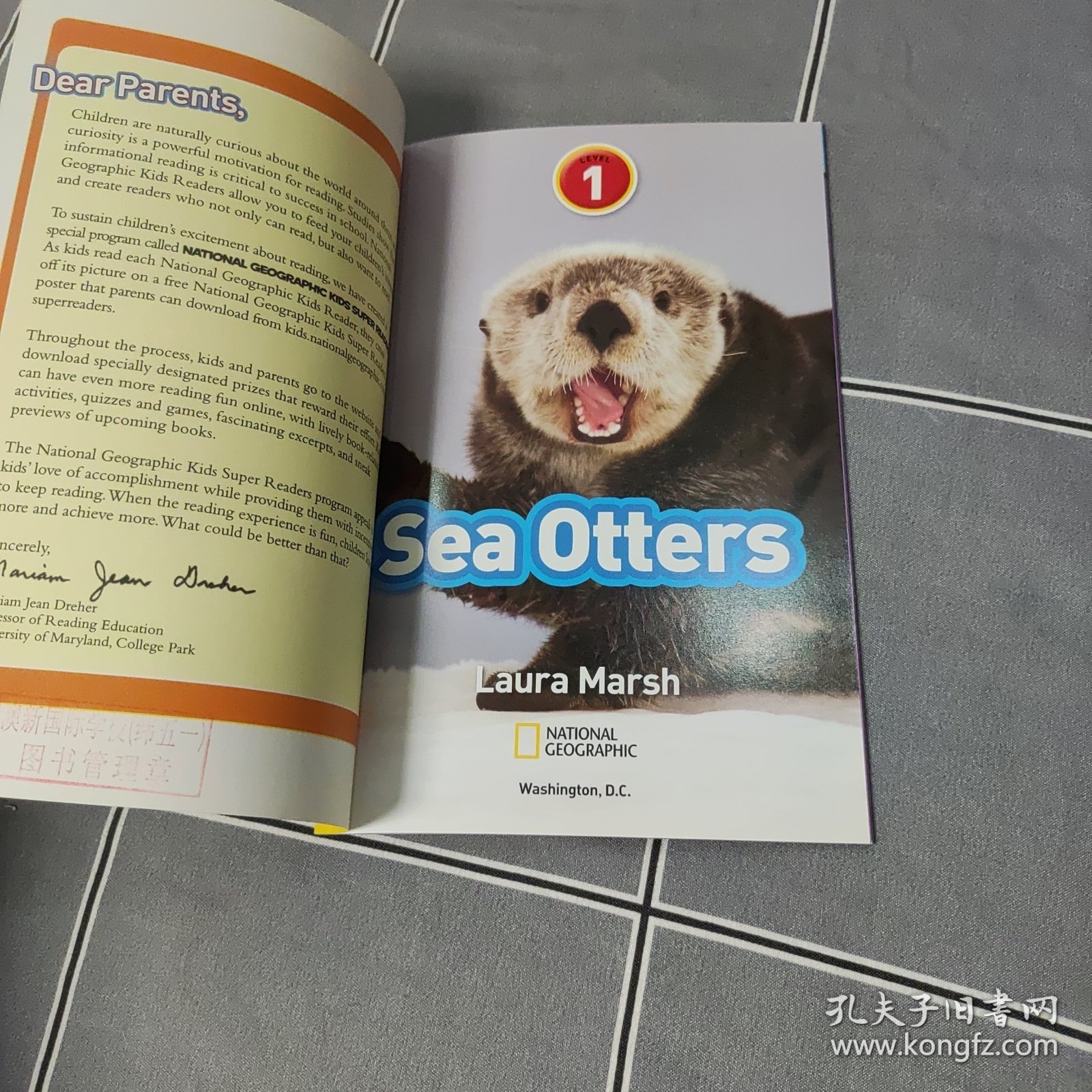 Sea Otters