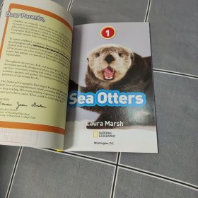 Sea Otters