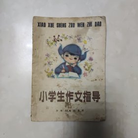 小学生作文指导
