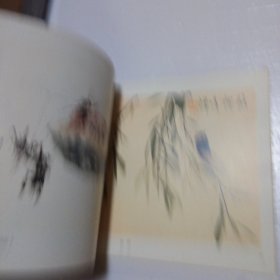 潘君诺花虫小品集