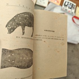 中兽医针灸学（正版书）1959年9月