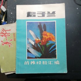 君子兰