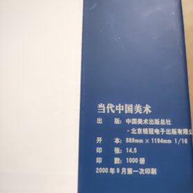 当代中国美术（有函套）