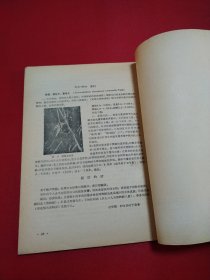 吉林省文物工作通讯1957