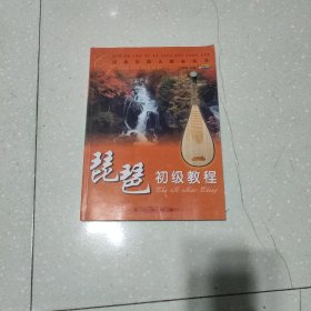 民族乐器大教室丛书：琵琶初级教程