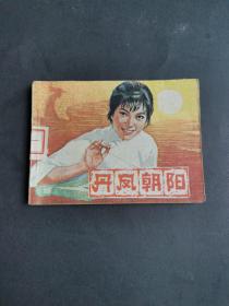 连环画：丹凤朝阳