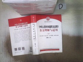 中华人民共和国民法总则 条文理解与适用（套装上下册）