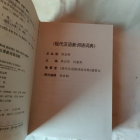 现代汉语新词语词典