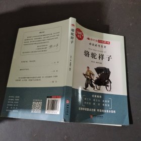 骆驼样子