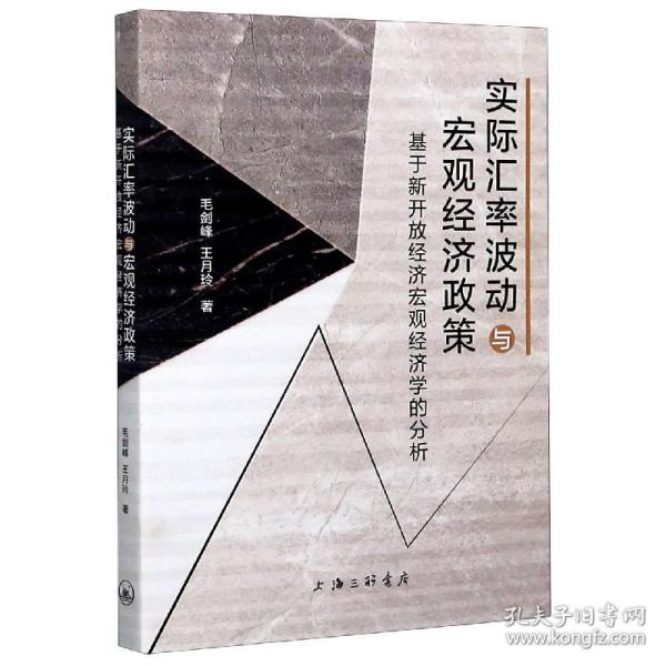 实际汇率波动与宏观经济政策—基于新开放经济宏观经济学的分析