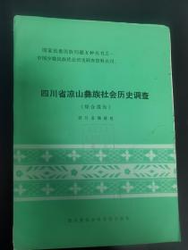 彝族书籍《四川省凉山彝族社会历史调查（综合报告）》彝文书