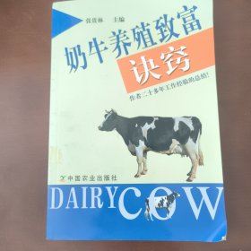 奶牛养殖致富诀窍