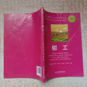 新型职业农民技能培训丛书：钳工