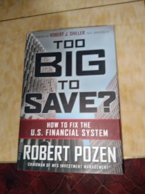 Too Big to Save? How to Fix the U.S. Financial System[大乱有大治]