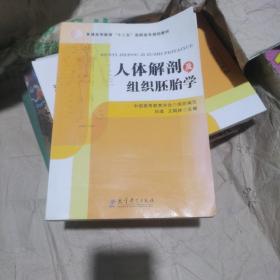 人体解剖及组织胚胎学