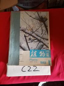 植物杂志1983     1