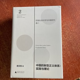 中国的新型正义体系：实践与理论（实践社会科学与中国研究·卷二）