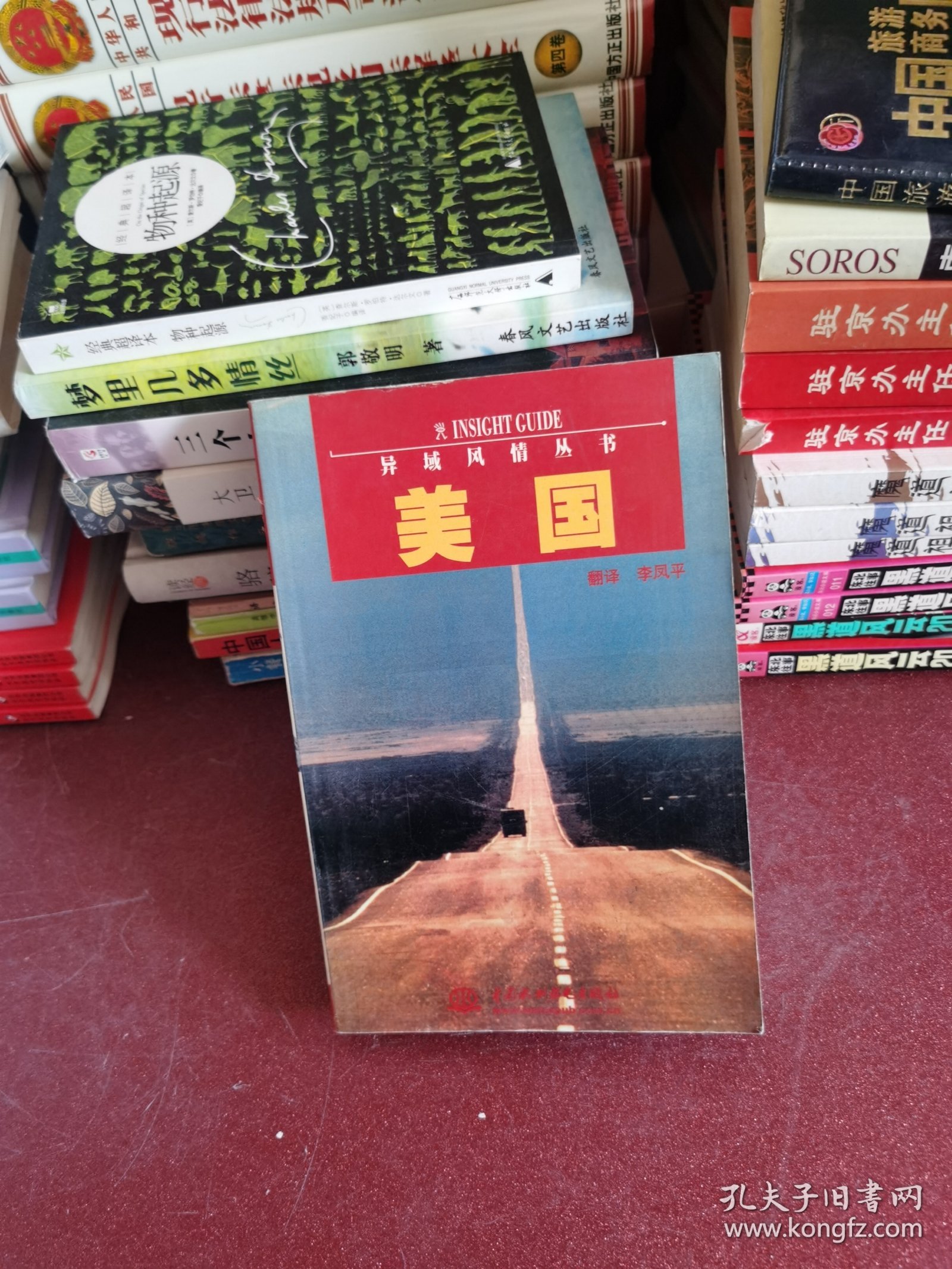 美国——异域风情丛书（特价/封底打有圆孔）