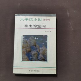 大争议小说社会卷 自由的空间