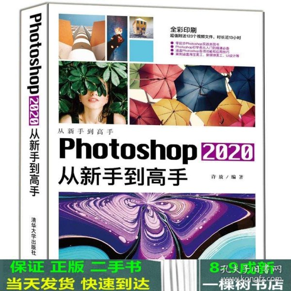 Photoshop2020从新手到高手（从新手到高手）