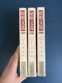 昭明文选 全三册