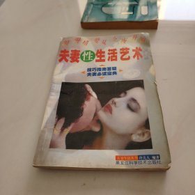 夫妻性生活艺术