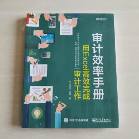 审计效率手册：用Excel高效完成审计工作