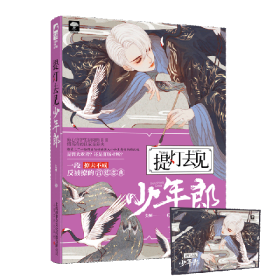 提灯去见少年郎