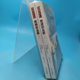 燃烧的岛群(上下)：宋宜昌二战军史小说系列