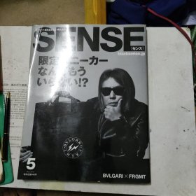 SENSE 2019.5