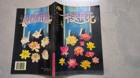 千姿荷花