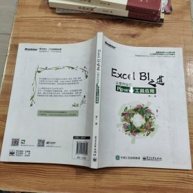 Excel BI 之道：从零开始学Power工具应用