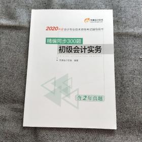 初级会计实务 （精编同步300题）