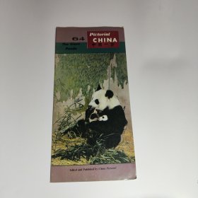 中国一瞥64大熊猫（英文）