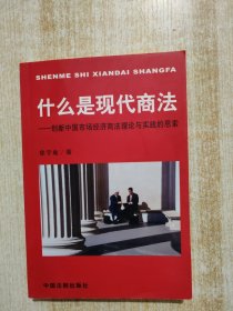 什么是现代商法--创新中国市场经济商法理论与实践的思索