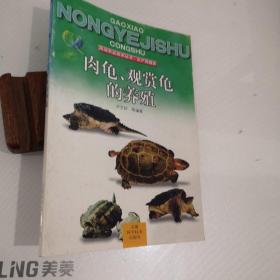 肉龜、觀賞龜?shù)酿B(yǎng)殖