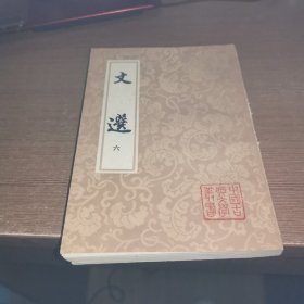 中国古典文学丛书 文选 六